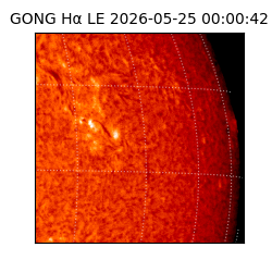 gong - 2026-05-25T00:00:42