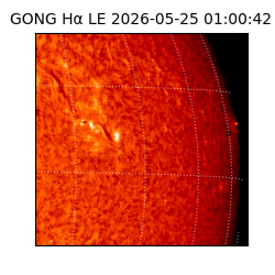 gong - 2026-05-25T01:00:42