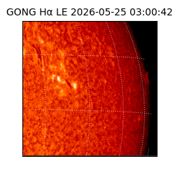 gong - 2026-05-25T03:00:42