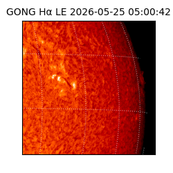 gong - 2026-05-25T05:00:42