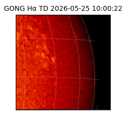 gong - 2026-05-25T10:00:22