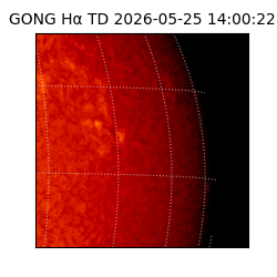 gong - 2026-05-25T14:00:22