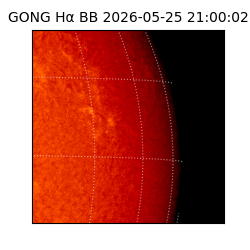 gong - 2026-05-25T21:00:02