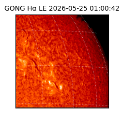 gong - 2026-05-25T01:00:42