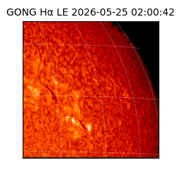 gong - 2026-05-25T02:00:42