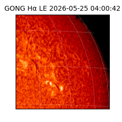gong - 2026-05-25T04:00:42