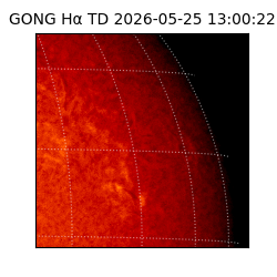 gong - 2026-05-25T13:00:22