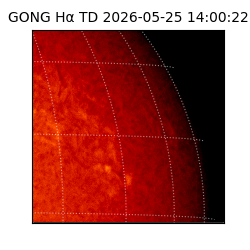 gong - 2026-05-25T14:00:22