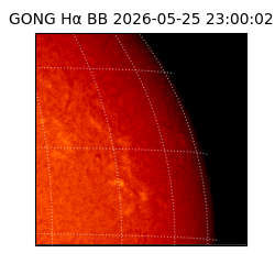gong - 2026-05-25T23:00:02