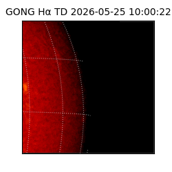 gong - 2026-05-25T10:00:22
