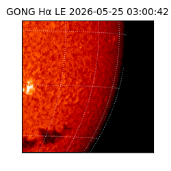 gong - 2026-05-25T03:00:42