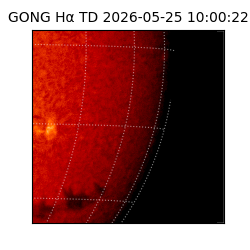 gong - 2026-05-25T10:00:22