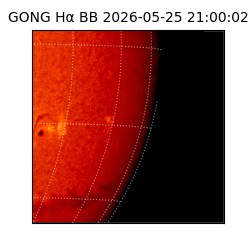 gong - 2026-05-25T21:00:02