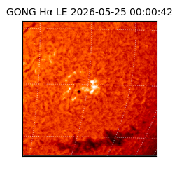 gong - 2026-05-25T00:00:42