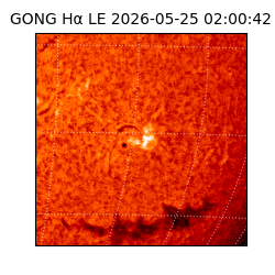 gong - 2026-05-25T02:00:42
