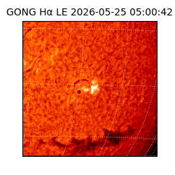 gong - 2026-05-25T05:00:42