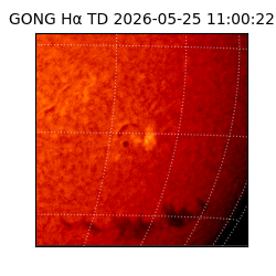gong - 2026-05-25T11:00:22