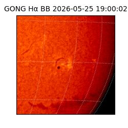 gong - 2026-05-25T19:00:02
