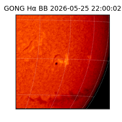 gong - 2026-05-25T22:00:02