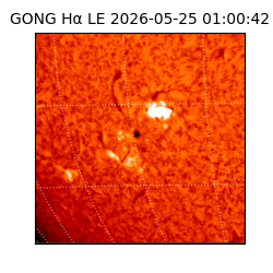 gong - 2026-05-25T01:00:42