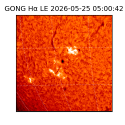 gong - 2026-05-25T05:00:42