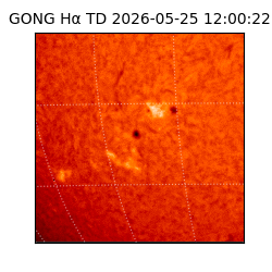 gong - 2026-05-25T12:00:22