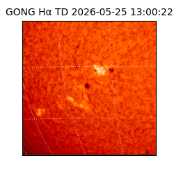 gong - 2026-05-25T13:00:22