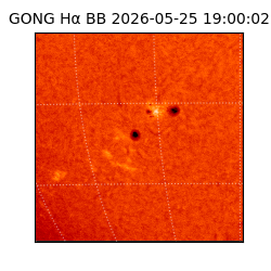 gong - 2026-05-25T19:00:02