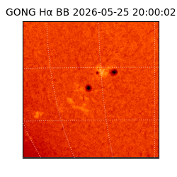 gong - 2026-05-25T20:00:02