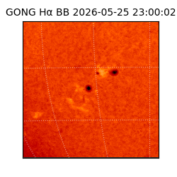 gong - 2026-05-25T23:00:02
