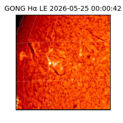 gong - 2026-05-25T00:00:42