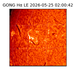 gong - 2026-05-25T02:00:42