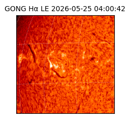 gong - 2026-05-25T04:00:42