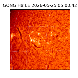 gong - 2026-05-25T05:00:42
