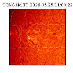 gong - 2026-05-25T11:00:22