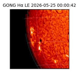 gong - 2026-05-25T00:00:42