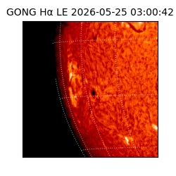 gong - 2026-05-25T03:00:42