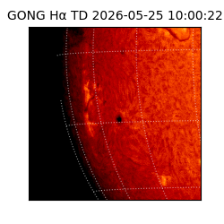 gong - 2026-05-25T10:00:22