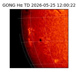 gong - 2026-05-25T12:00:22