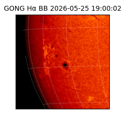 gong - 2026-05-25T19:00:02