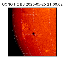 gong - 2026-05-25T21:00:02