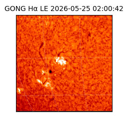 gong - 2026-05-25T02:00:42