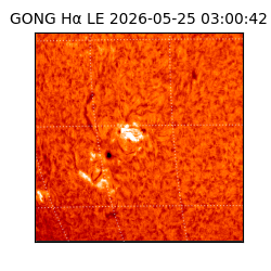 gong - 2026-05-25T03:00:42