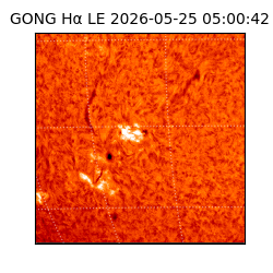 gong - 2026-05-25T05:00:42