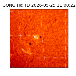 gong - 2026-05-25T11:00:22