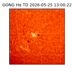 gong - 2026-05-25T13:00:22