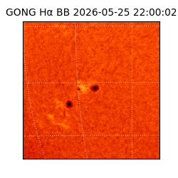 gong - 2026-05-25T22:00:02