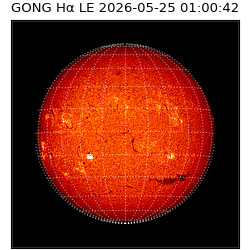 gong - 2026-05-25T01:00:42