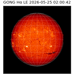 gong - 2026-05-25T02:00:42