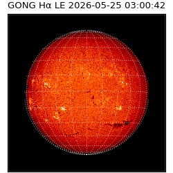 gong - 2026-05-25T03:00:42